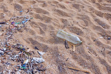 Plastik su şişeleri plaja atık doğayı kirletirken bırakılır, Plastik 'i bozmak, ekosistemi yok etmek zordur, Dünya Çevre Günü konseptini..
