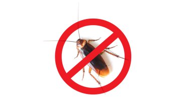 Hamamböceği karşıtı, haşere kontrolü. Böcekleri durdur işareti. Hamamböceği uyarısı ile kırmızı yasaklama çemberindeki hamamböceğini işaretle.