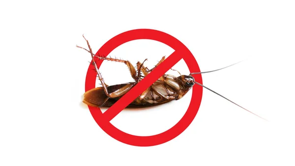 바퀴벌레 통제를 Sign Cockroach를 멈추십시오 — 스톡 사진