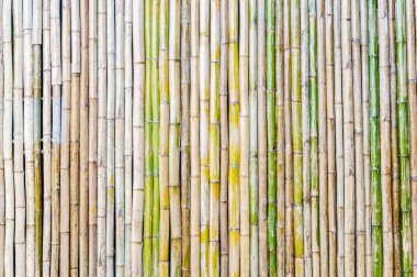 Bambu çit arka plan, ahşap bambu çit.