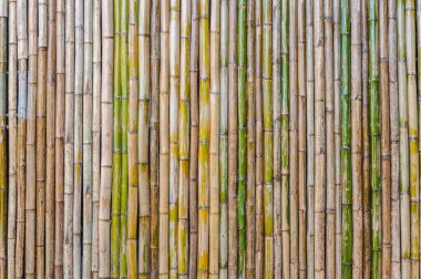 Bambu çit arka plan, ahşap bambu çit.