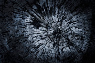 Eski ahşap arkaplan ağacı eski ahşap desen zeminini çalar