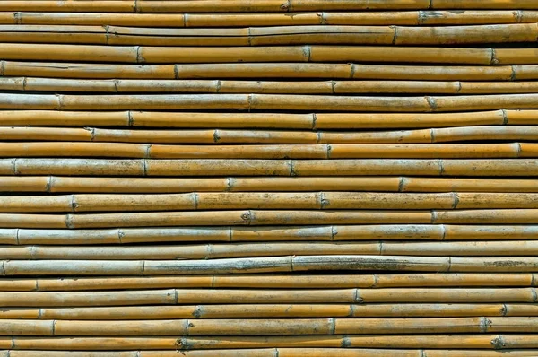Bambuszaun Hintergrund Old Bamboo — Stockfoto