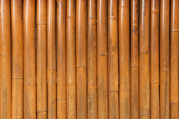 Bambu Çit Arka Planı Eski Bambu — Stok fotoğraf