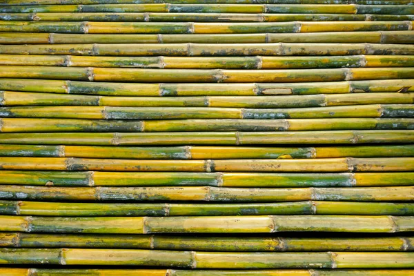 Бамбуковый Забор Деревянный Бамбуковый Забор — стоковое фото