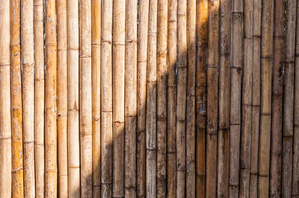 Bambuszaun Hintergrund Hölzerner Bambuszaun — Stockfoto