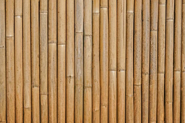 Bambusový Plot Pozadí Staré Textury Bambusu — Stock fotografie
