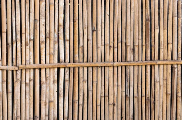 Bambusowy Płot Tle — Zdjęcie stockowe