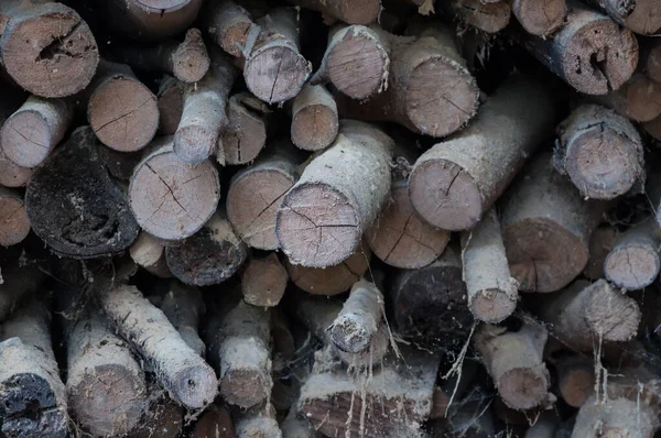 Starý Komín Dřeva Podpal Přírodní Dřevěné Zázemí Dřevo Podpal Naskládané — Stock fotografie
