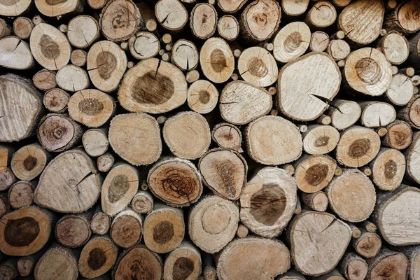 Dřevěné Kruhy Sekaných Kmenů Stromů Kulaté Kusy Mají Různé Velikosti — Stock fotografie