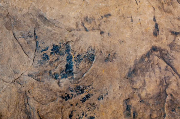深色砂石纹理的细节 — 图库照片