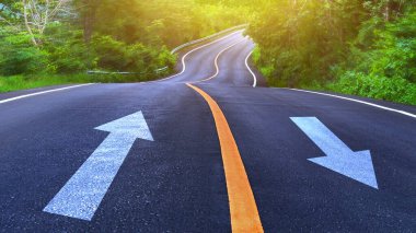Kırsal yol ve sarı çizgi, her iki tarafında ağaçlar olan beyaz ok, yolun kıvrımı, iki yönlü yol.