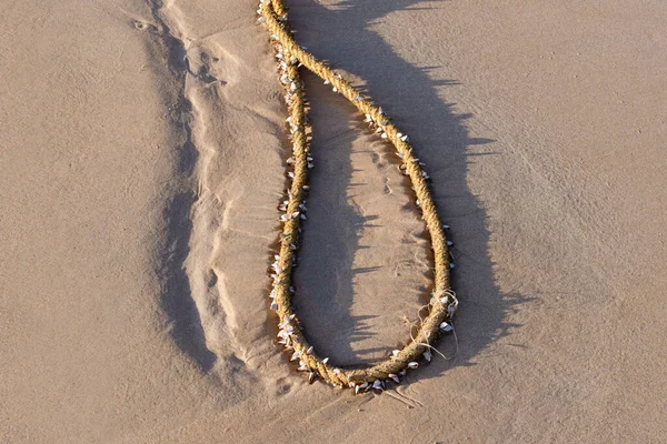 老渔夫的绳子和美丽的贝壳被抛向海滩 绳子打结 躺在沙滩上 — 图库照片