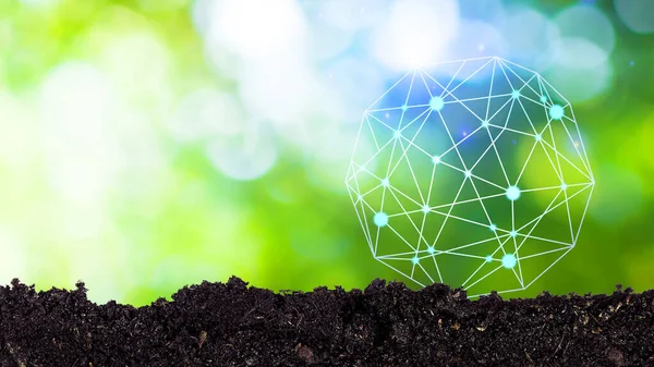 Earth Environment Day. Soil with Global network and connection with bokeh sunlight green nature background, ESG and Ecology CSR concept in the sustainability environmental, Save the world