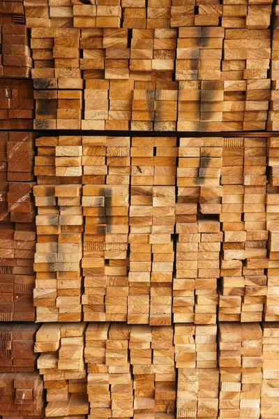 Przekrój Poprzeczny Tarcicy Wybór Świeżo Ściętego Drewna Belka — Zdjęcie stockowe