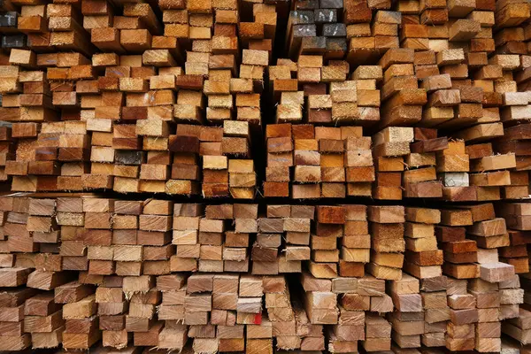 木材のクロスセクション 新鮮な木材の選択 ビーム — ストック写真