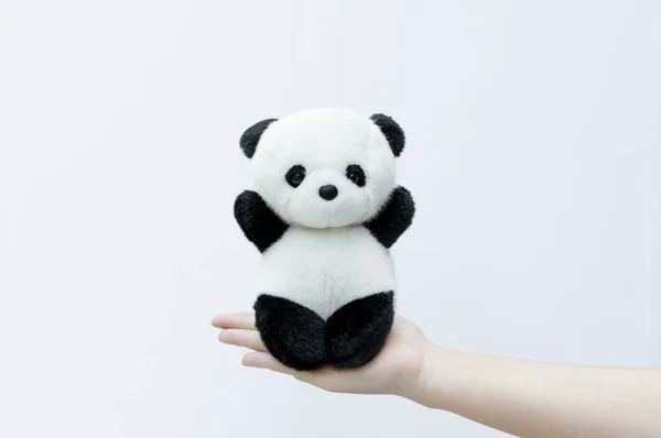 Mão Segurando Panda Boneca Aro Preto Dos Olhos Panda Brinquedo — Fotografia de Stock