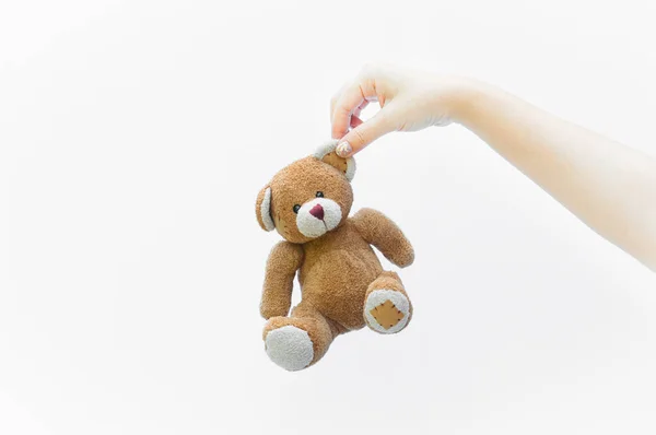 Рука Жінка Тримає Вухо Коричневий Плюшевий Ведмідь Іграшку Білому Тлі — стокове фото