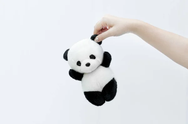 Рука Тримає Ляльку Панди Чорний Ободок Очей Іграшка Панди Білому — стокове фото