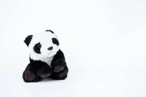 Лялька Панда Чорно Біла Чорний Ободок Очей Іграшка Панди Дитини — стокове фото