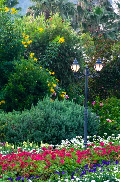 Iluminação Pública Lanternas Flores Parque — Fotografia de Stock
