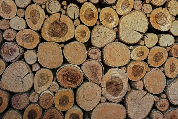 Dřevěné Kruhy Sekaných Kmenů Stromů Kulaté Kusy Mají Různé Velikosti — Stock fotografie