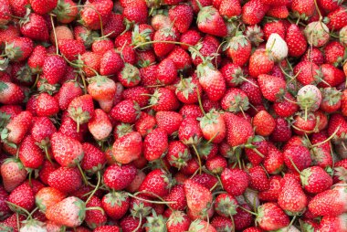 Taze çilek, arka plan için böğürtlen kırmızısı