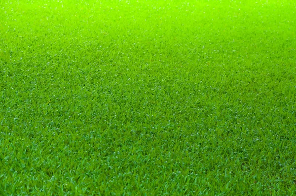 Football field green grass pattern texture background,texture grass for background
