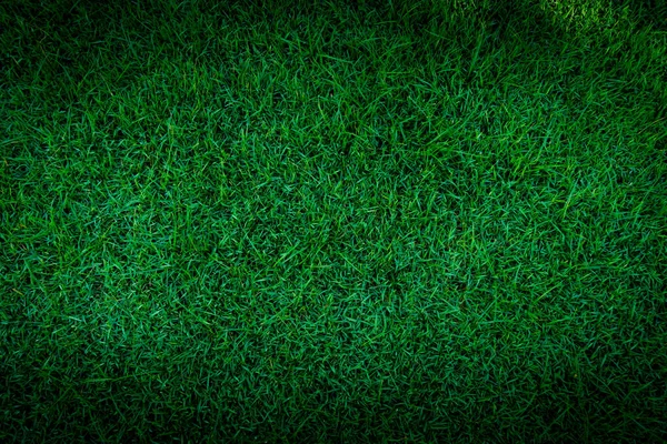 Futbol Sahası Yeşil Çimen Desenli Arka Plan Arka Plan Için — Stok fotoğraf