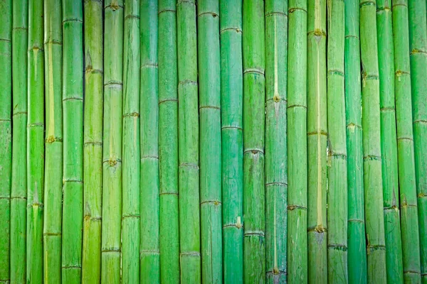 Recinzione Bambù Verde Sfondo Struttura Legno Bambù Sfondo — Foto Stock