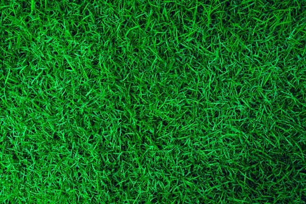 天然绿草质地 完美的高尔夫或足球场背景 顶部视图 — 图库照片