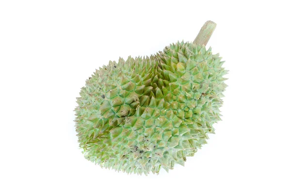 Durian Βασιλιάς Των Φρούτων Λευκό Φόντο Durian Είναι Ένα Δύσοσμο — Φωτογραφία Αρχείου
