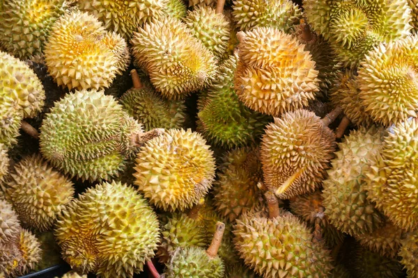 Durian Rynku Smak Durian Owoców Formie Bufetu Festiwalu — Zdjęcie stockowe