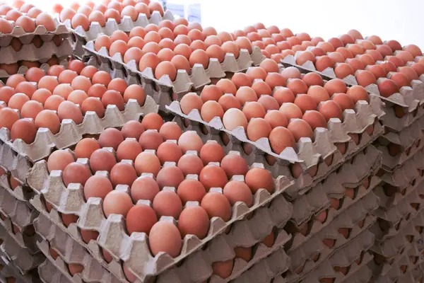 Яйца Свежих Кур Несушек Аккуратным Расположением Рынке — стоковое фото