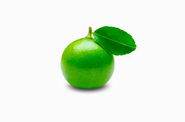 Friss Zöld Lime Nyers Citrom Levelek Elszigetelt Fehér Hátterben Citrusfélék — Stock Fotó