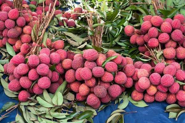 Verse Lychee Fruit Markt Van Thailand Zuidoost Azië — Stockfoto