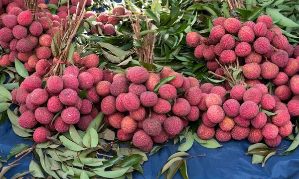 Świeże Owoce Liczi Targu Południowo Wschodniej Tajlandii — Zdjęcie stockowe