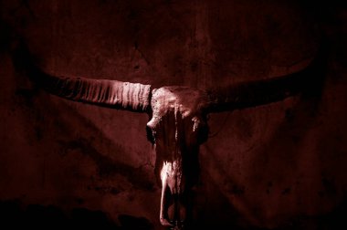 Koyu kırmızı arka planda mistik sembollü bufalo kafatası