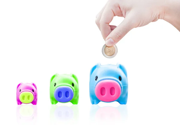 Women Young Hand Putting Money Coin Saving Pig Finance Theme — Stock Photo, Image