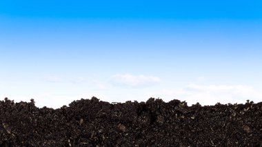 Mavi gökyüzü arka planına sahip verimli kara toprak yığını, büyüyen ve organik bitkiler ekoloji kavramı