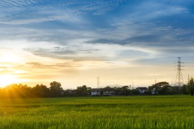 Şehir manzarası gün batımında ev ve telekom ile pirinç tarlaları, Tayland kırsalında iletişim antenleri.