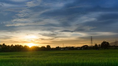 Şehir manzarası gün batımında ev ve telekom ile pirinç tarlaları, Tayland kırsalında iletişim antenleri.