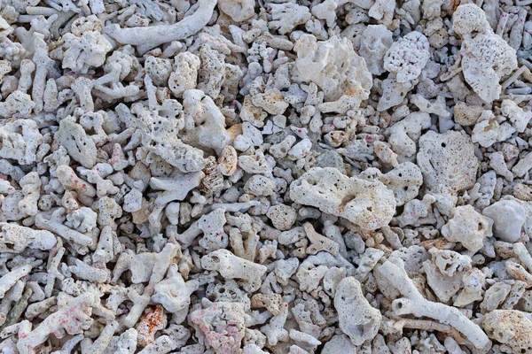 Fragmentos Corais Mortos Deitados Uma Praia Recifes Corais Praia Fundo — Fotografia de Stock