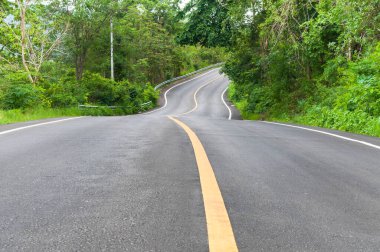 İki tarafında ağaçlar olan kırsal yol, yolun kıvrımı.