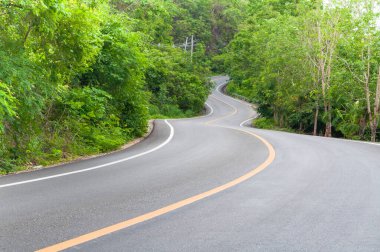 İki tarafında ağaçlar olan kırsal yol, yolun kıvrımı.