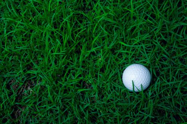 Golf topuyla birlikte yeşil çimenler güneş ışığında yumuşak odak noktasında. Golf kulübü konsepti için spor sahası