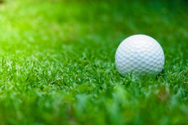 Golf topuyla birlikte yeşil çimenler güneş ışığında yumuşak odak noktasında. Golf kulübü konsepti için spor sahası