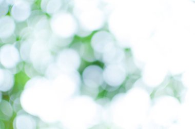 Soyut doğa arkaplanından yeşil ve beyaz bokeh, arkaplan için