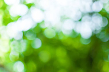 Soyut doğa arkaplanından yeşil bokeh, arkaplan için