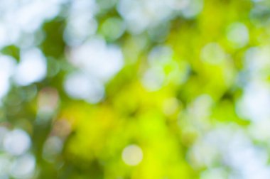 Bokeh ışıkları arka plan olarak kullanılıyor, eko kavramı